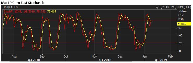 The Andersons Tech Update Corn January 9, 2019