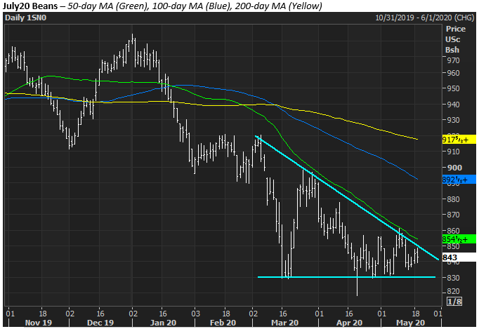 The Andersons Tech Update Soybeans