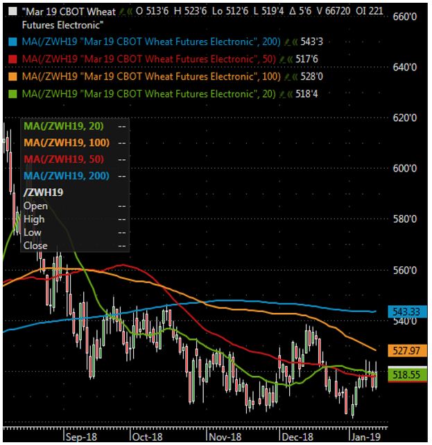 The Andersons Weekly Wrap Up Wheat January 11, 2019