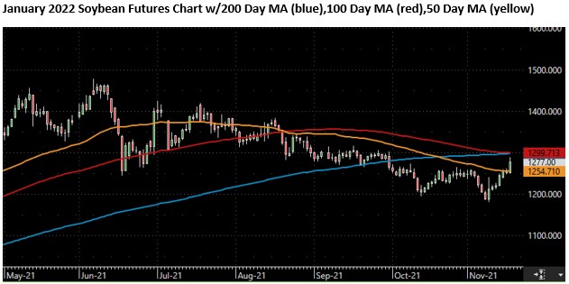 The Andersons Special Market Report