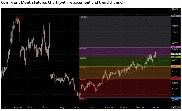 The Andersons Special Market Report
