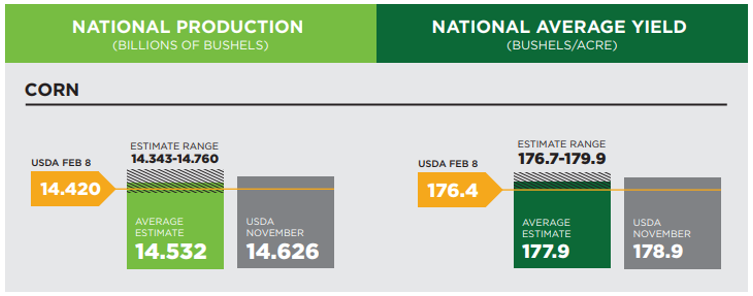 The Andersons Weekly Wrap Up Corn February 8, 2019