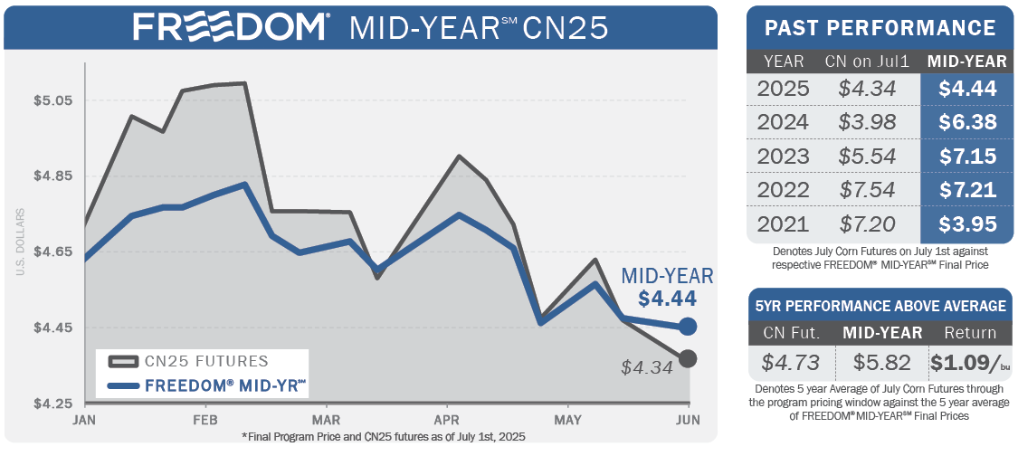 2025_MidYearCharts.png
