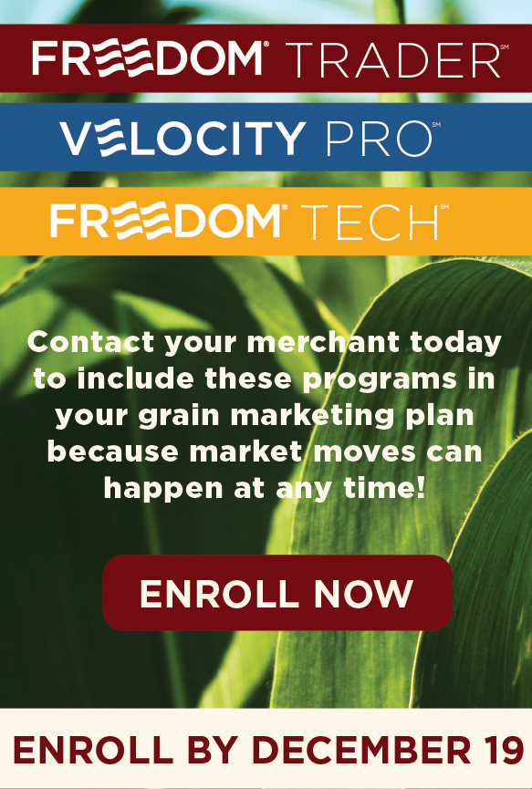 The Andersons Freedom Deadline