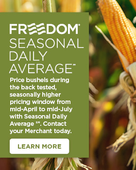 The Andersons Seasonal Daily Average