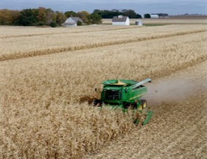 Combine in Field