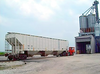 Food Grade Corn by Railway