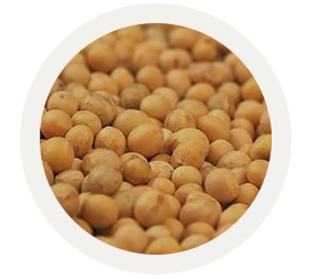 The Andersons Soybean Grains